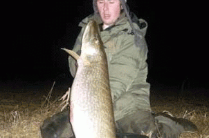 30lb suck pike 1.gif